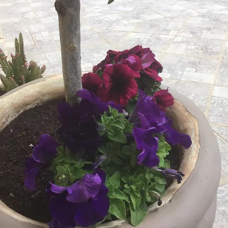 Ariadni Villa